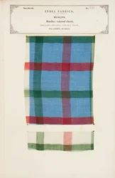 Coloured check muslin sample from Arnee in Madras, from The Collection of the Textile Manufacturers of India, by John Forbes Watson, published in 1866