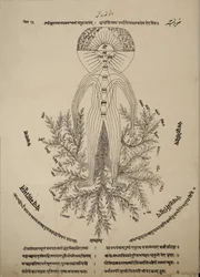 Diagram showing meridian points on the human body