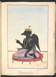 Kakabhusanda, a Crow Devotee of Rama