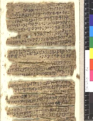 Fragments of birch bark manuscript in Kharoshthi