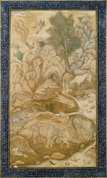 The King of the Forest