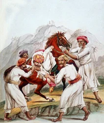 Unknown Image