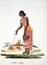 Woman Feeding Chickens