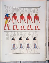 The Different Species of Men Known to the Egyptians, Depicted in the Tomb of Menphtah I, Illustration from 
