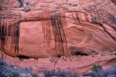 Corn cobs, remnants of the last ancient meal of these Anasazi, continue to strew the area