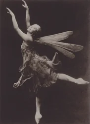 Pavlova in The Dragon Fly