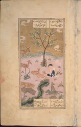 Majnun in the Desert