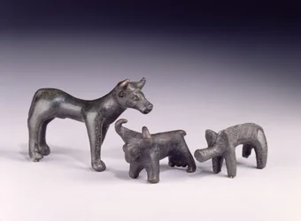 Two bulls, from Hungary and a boar, from Gower Cave, Rhossilly, South Wales, Iron Age