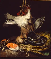 Still Life with a Dead Jay