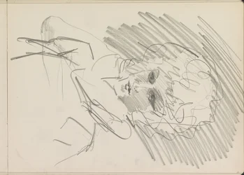 Bust of a Woman with Curls