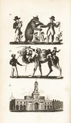 Dancing Bear and Dog, Camel and Monkey and the Royal Exchange