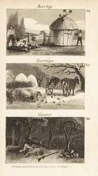 Trades in Norfolk, Regency England