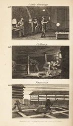 Trades in Regency England: Glass-Blowing, Colliery, and Tanning