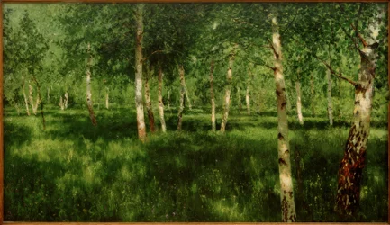 Birch Grove