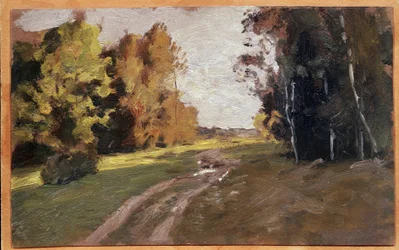 Evening, a Pathway in the Wood