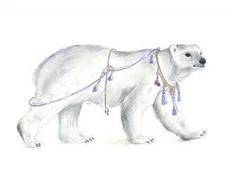 Regal Polar Majesty