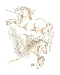 Unicorn and Pegasus