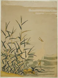 Egrets in the Reeds