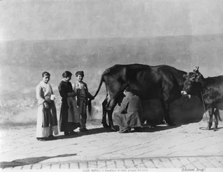 A Milk Seller, from Life in Naples