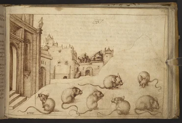 Mice (