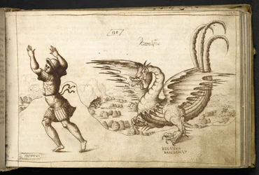 Dragon from Historia Animalium