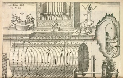 An organ