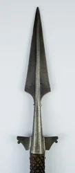 Bear Spear