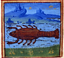 Cancer sign. Italian horoscope; mid-15th century.