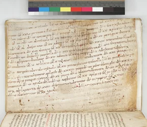 Carta Pisano