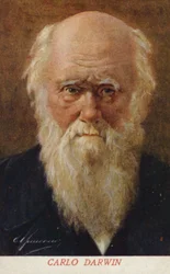 Charles Darwin, English Naturalist