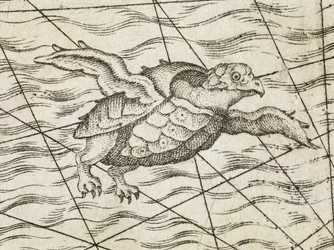 Detail of a flying turtle on a map of northern Europe, from 