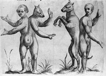 Different types of human monsters: two creatures with double bodies, half man and dog (Siamese). Engraving from 