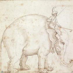 Elephant Hanno and His Mahout