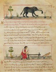 Elephant and Traditional Ivory Work, Illustration from the Cynegetica by Oppian