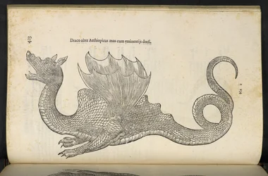 Ethiopian Dragon Serpentum, et draconum historiae libri duo, Bologna by Ulisse Aldrovandi