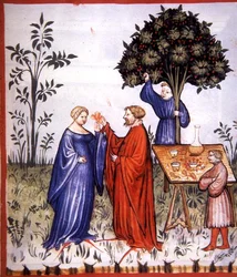 White Wine, illustration from 