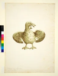 Goose