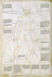 Illustration from 