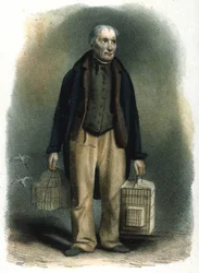 Milanese metier: a bird salesman in cage