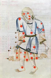 The Constellation of Virgo, from Liber de Stellis Fixarum, a Latin Translation of The Book of Fixed Stars by Abd ar-Rahman Al Sufi