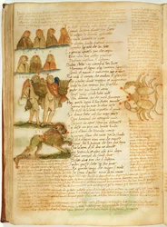 Gemini, Leo and Cancer, from the 