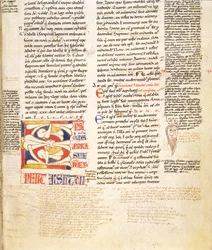 Ms. McClean 135, f.96r: Plant-Form Historiated Initial C from Gratians Decretum (detail)