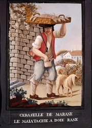 Neapolitan trades: the seller of Marasca cherries - (Old trade: the Marasca cherry seller), 19th century - Naples, Museo Nazionale di San Martino