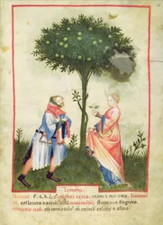 Harvesting Lemons, from Tacuinum Sanitatis, c.1390-1400