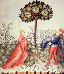 Harvesting Mustard, from Tacuinum Sanitatis