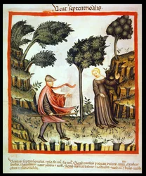 The North Wind, from Tacuinum Sanitatis