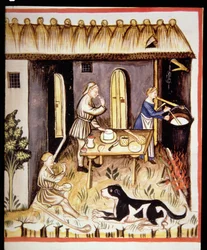 Preparation of white cheese, from Tacuinum Sanitatis