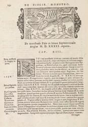 Page 742 from Historia De Gentivus Septentrionalibus by Magnus Olaus, Rome 1565