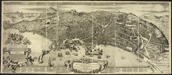 Plan and Elevation of the City of Naples by P. Petrini