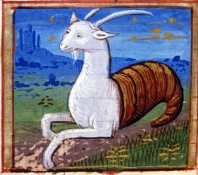 Sign of the Capricorn. Italian Horoscope, mid-15th century